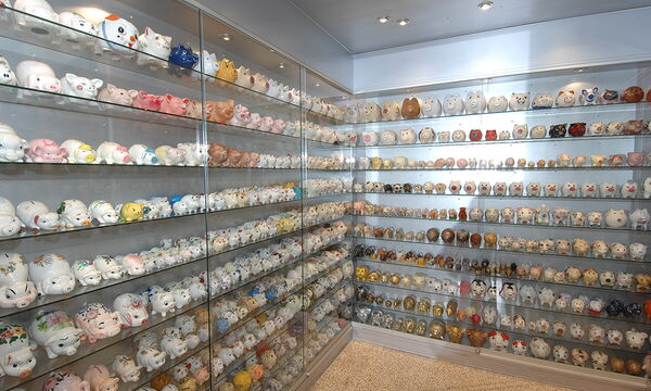 Schweinemuseum
