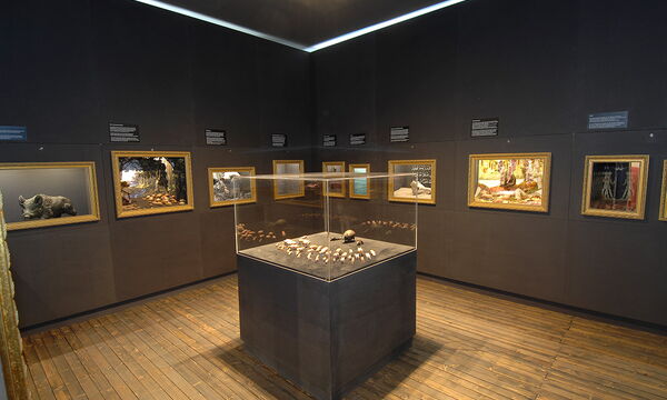 Schweinemuseum