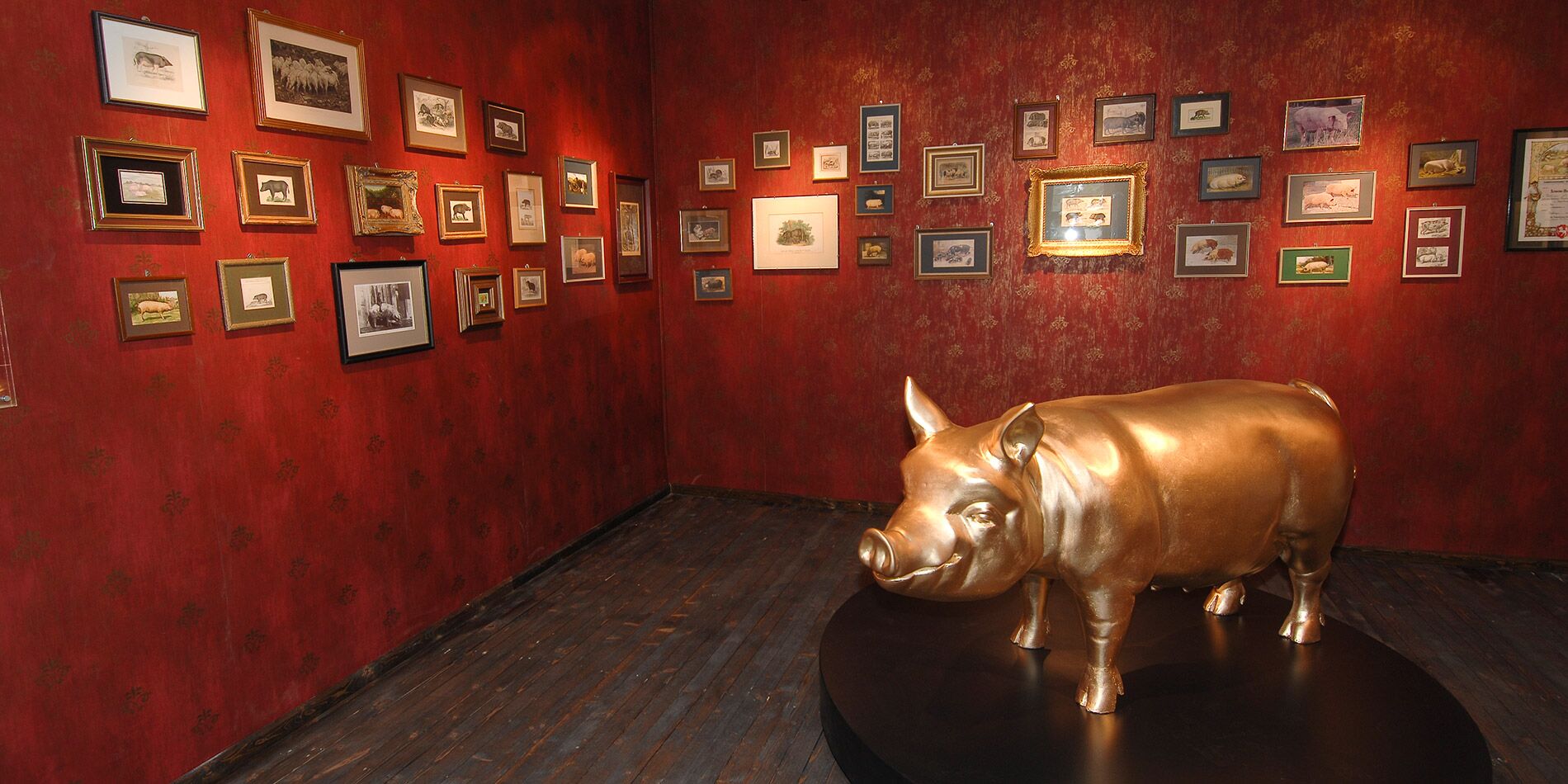 Schweine Museum
