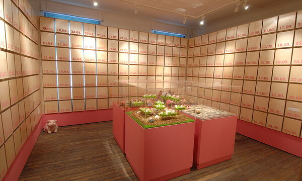 Schweinemuseum