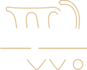 AMPULLE